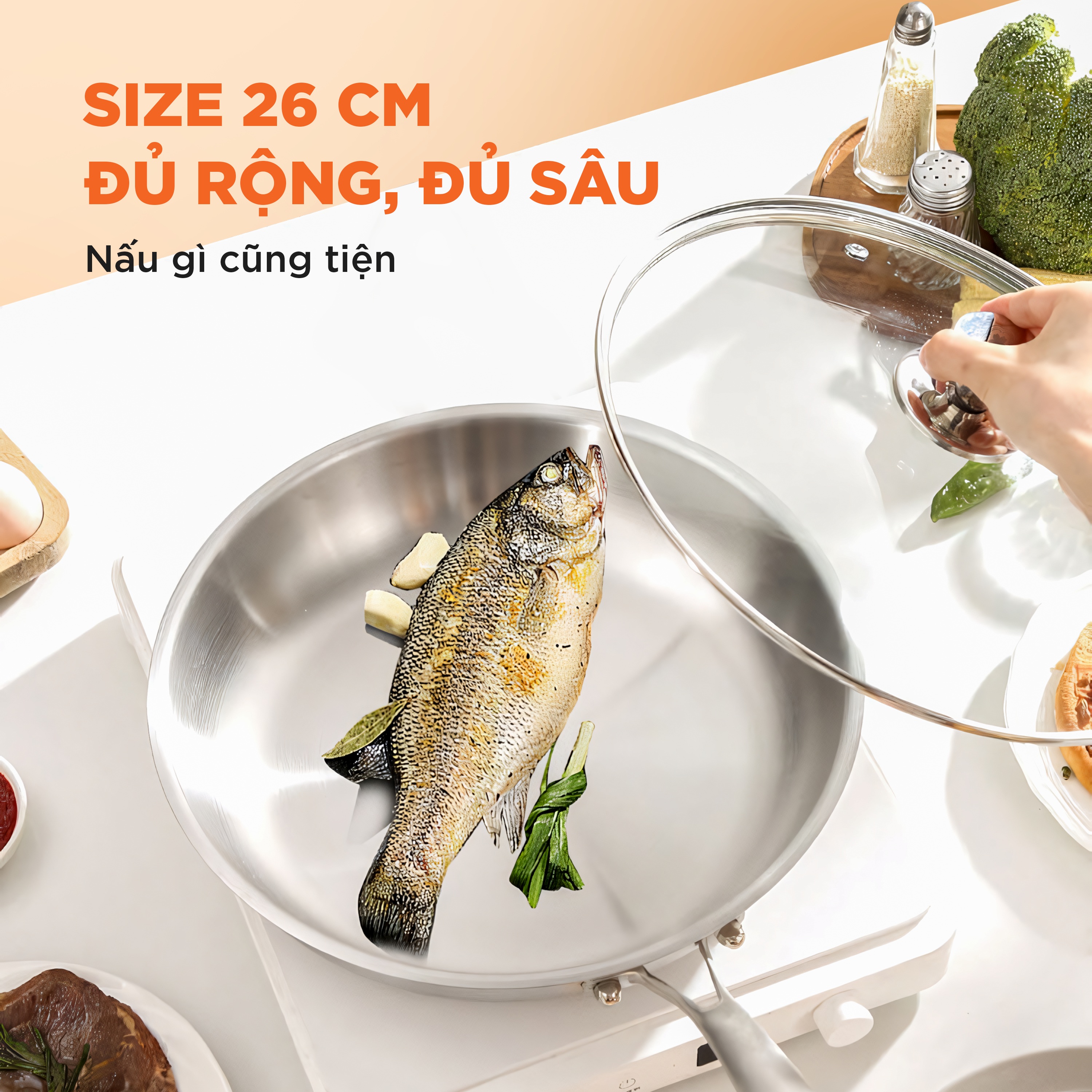 chao-inox-size-26-04