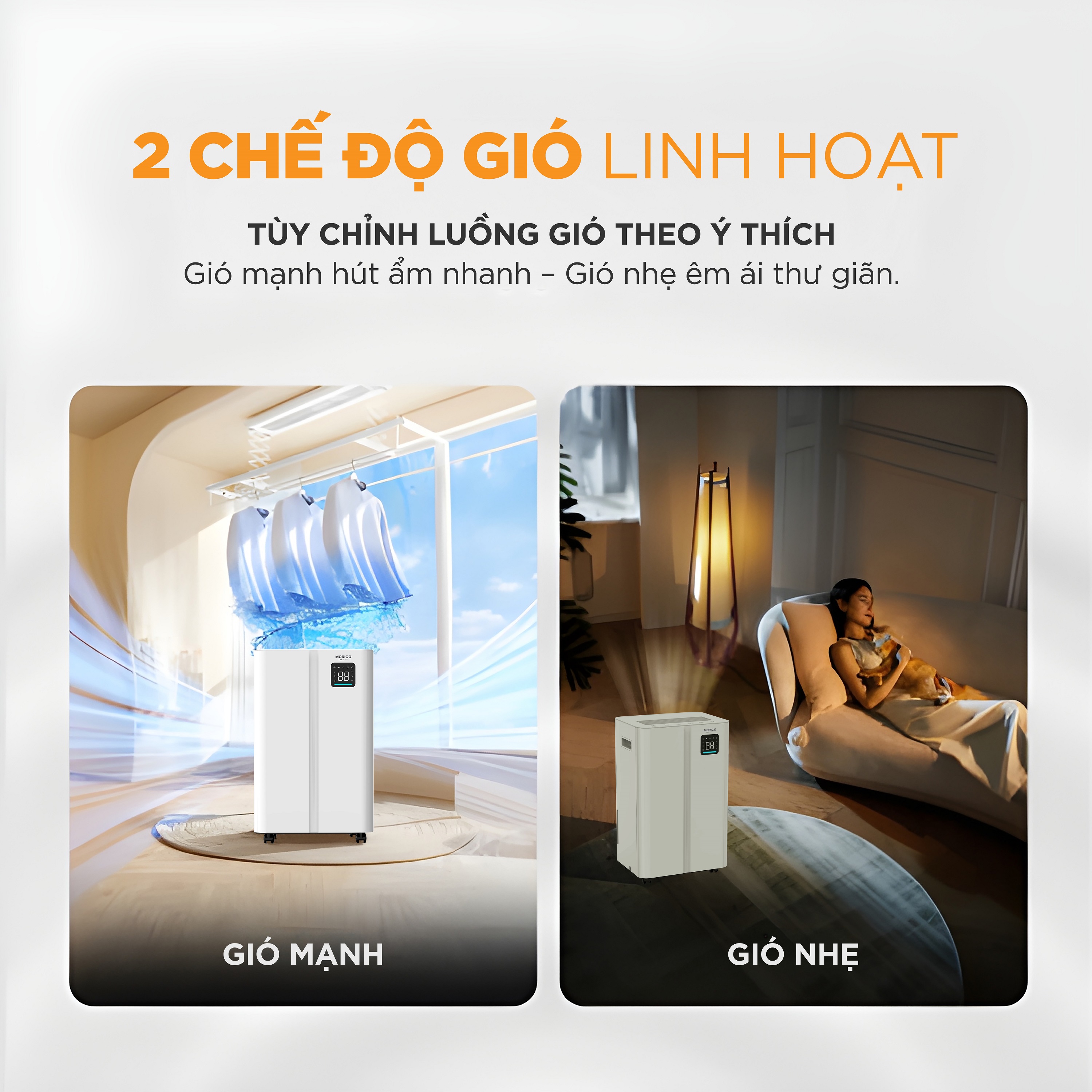 may-hut-am-morico-md801-6